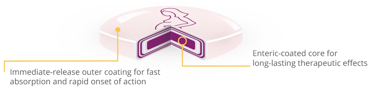 Bonjesta pill schema showing immediate-release outer coating and extended-release core